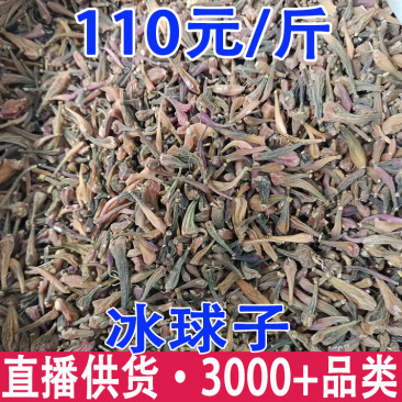 冰球子树上果紫色冰球子绿色冰球子白色冰球子冰球