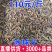 冰球子树上果紫色冰球子绿色冰球子白色冰球子冰球
