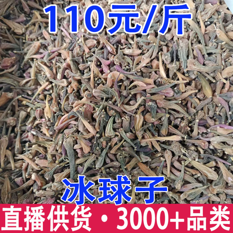 冰球子树上果紫色冰球子绿色冰球子白色冰球子冰球
