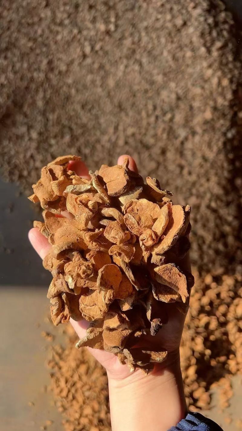 胰岛果茶胰岛果片胰岛果切片胰岛果片批发代发