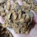胰岛果茶胰岛果片胰岛果切片胰岛果片批发代发