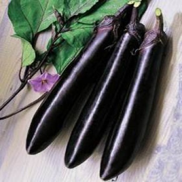 茄子，品质非常好，肉质发白无籽，诚信为本，代发全国