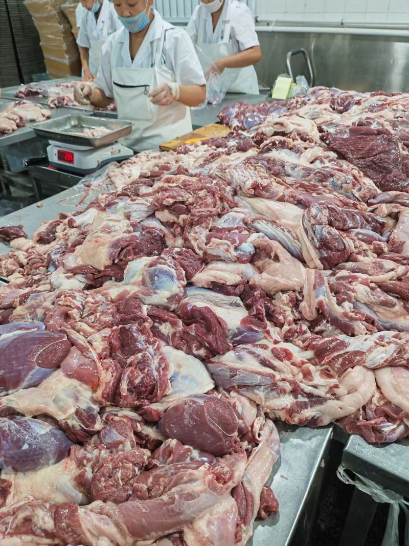 内蒙本地精选羔羊肉/后腿肉/规格齐全/量大从优/诚信经营