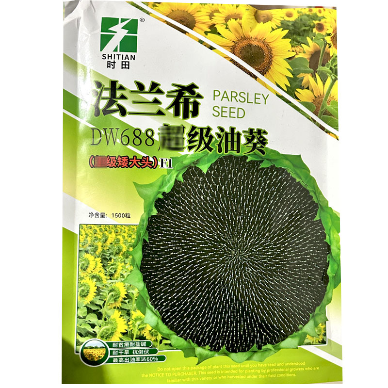 法兰希DW688油葵种子矮大头向日葵杂交抗倒伏大田基地