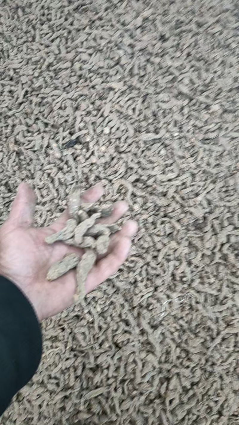 生地黄大量有货，各种规格，特级，一级，二级三4级5级，毛须