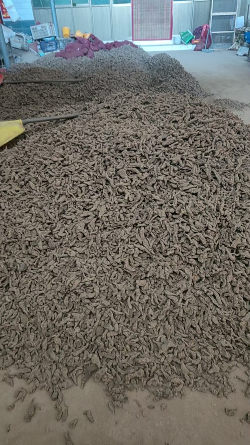 生地黄大量有货，各种规格，特级，一级，二级三4级5级，毛须