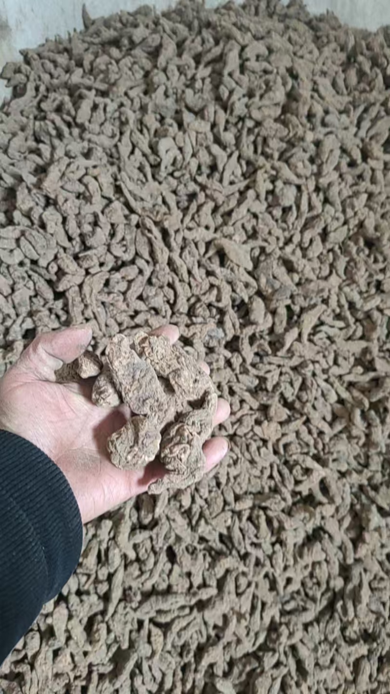 生地黄大量有货，各种规格，特级，一级，二级三4级5级，毛须