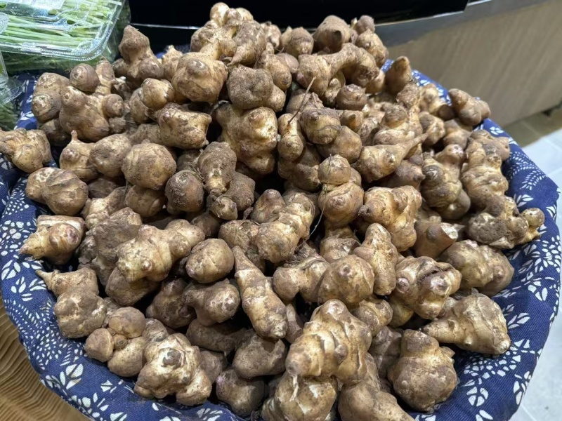 精品白洋姜/菊芋/产地直发/量大从优/诚信经营