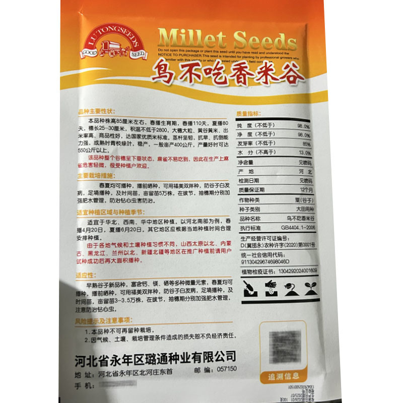 鸟不吃香米谷小米谷子红谷子种籽香米旱稻谷种子基地