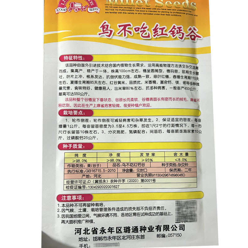 鸟不吃香米谷谷子栗种子高产稳产抗鸟性强大田盆栽
