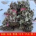 干艾草艾草批发一手货源量大从优规格齐全全国发货