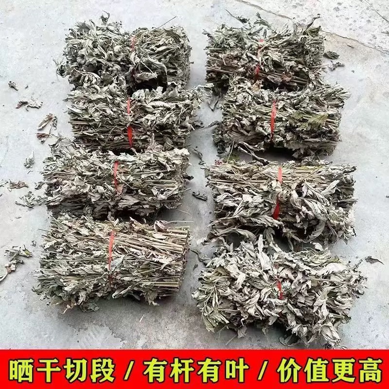 干艾草艾草批发一手货源量大从优规格齐全全国发货