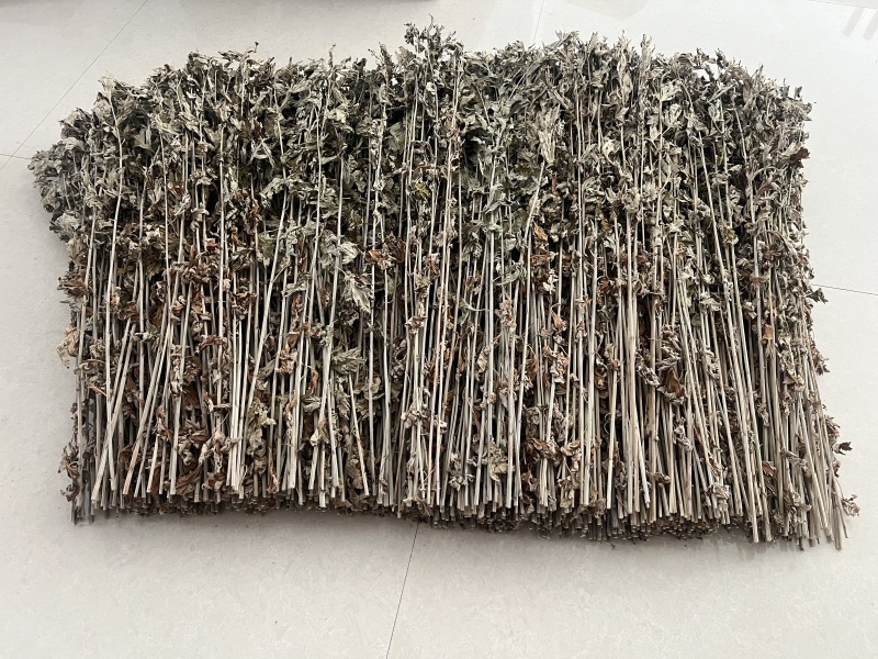 干艾草艾草批发一手货源量大从优规格齐全全国发货