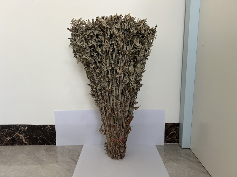 干艾草艾草批发一手货源量大从优规格齐全全国发货