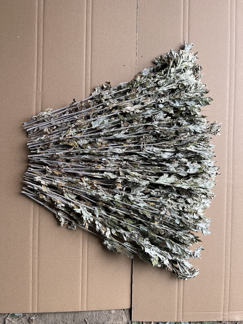 干艾草艾草批发一手货源量大从优规格齐全全国发货