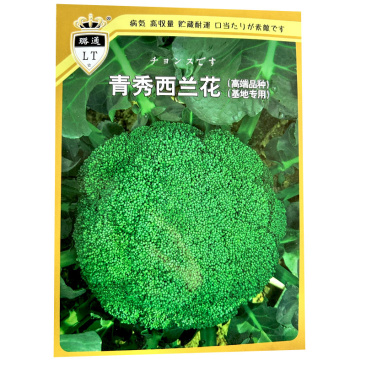 青秀西兰花种子青花菜种籽西蓝花早熟耐寒抗病春秋