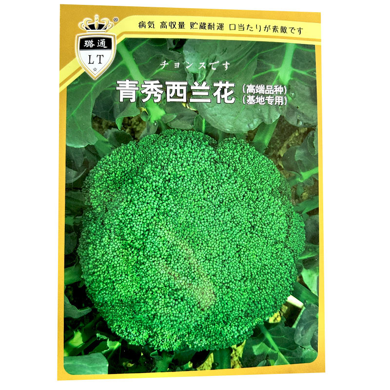 青秀西兰花种子青花菜种籽西蓝花早熟耐寒抗病春秋