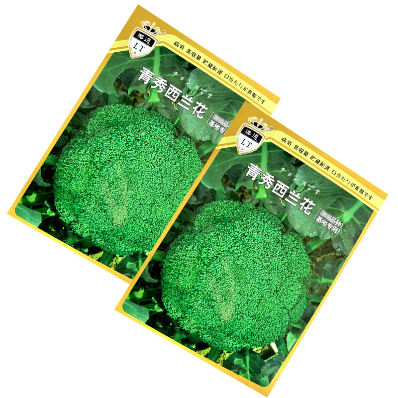 青秀西兰花种子青花菜种籽西蓝花早熟耐寒抗病春秋