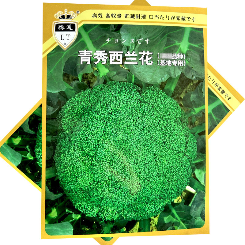 青秀西兰花种子青花菜种籽西蓝花早熟耐寒抗病春秋