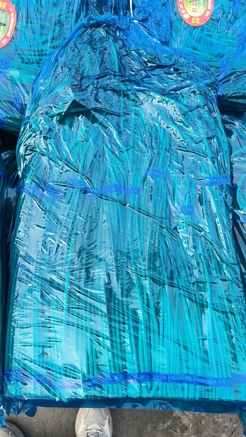 （精品金乡蒜苔）山东蒜薹/自家种植/产地货源/全国供应