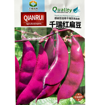 紫眉豆种子千瑞红扁豆角种子早熟爬藤高产四季蔬菜种子