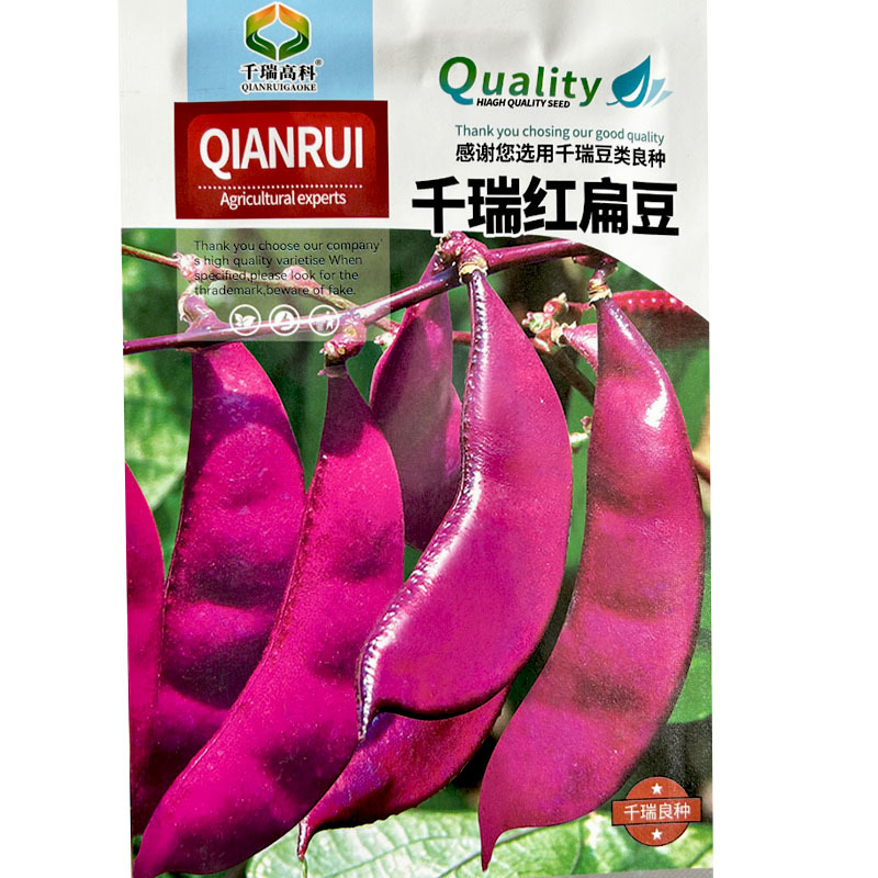 紫眉豆种子千瑞红扁豆角种子早熟爬藤高产四季蔬菜种子