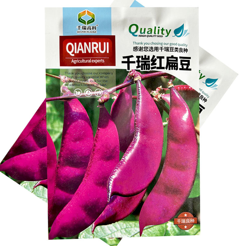 紫眉豆种子千瑞红扁豆角种子早熟爬藤高产四季蔬菜种子