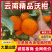 沃柑【云南精品沃柑】，规格齐，供应市场，商超，整车发货