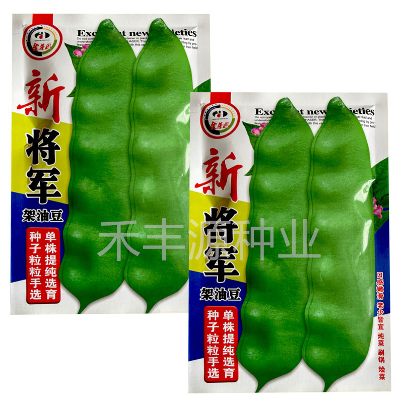 将军架豆油豆种子100g绿荚厚肉无筋炖菜东北宽油豆籽