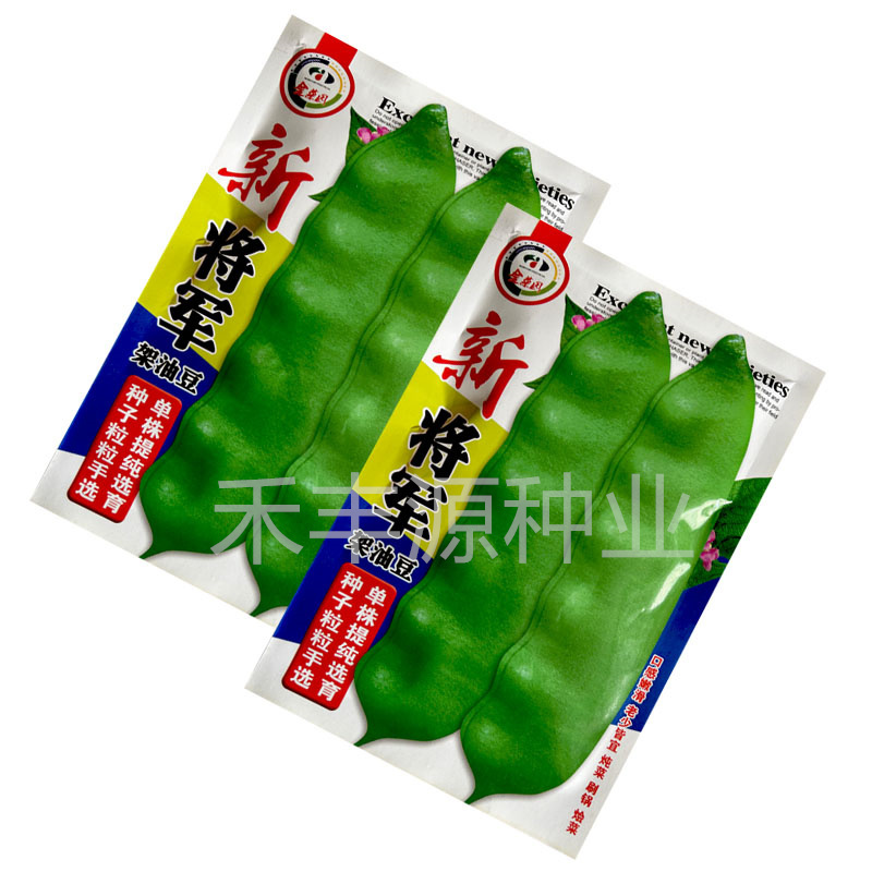 将军架豆油豆种子100g绿荚厚肉无筋炖菜东北宽油豆籽