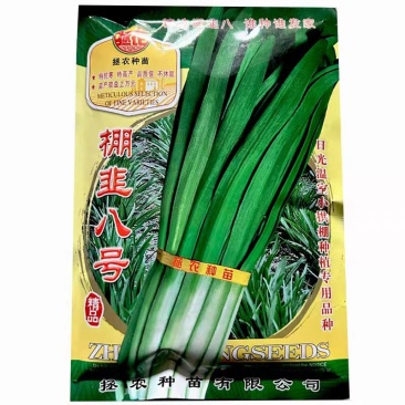 棚韭八号韭菜种子宽大大叶不休眠韭菜种子高产白根韭菜种子