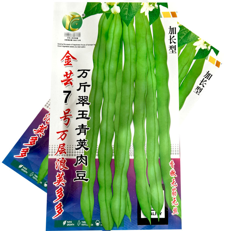 金芸7号翠玉青荚肉豆加长型香嫩无筋无丝连续结荚强