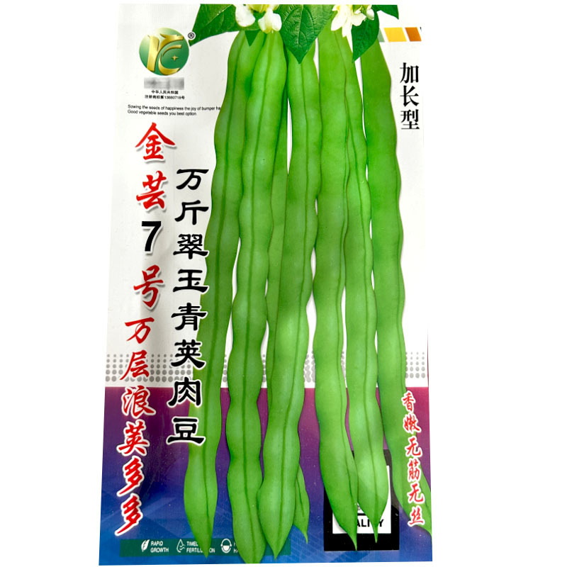 金芸7号翠玉青荚肉豆加长型香嫩无筋无丝连续结荚强