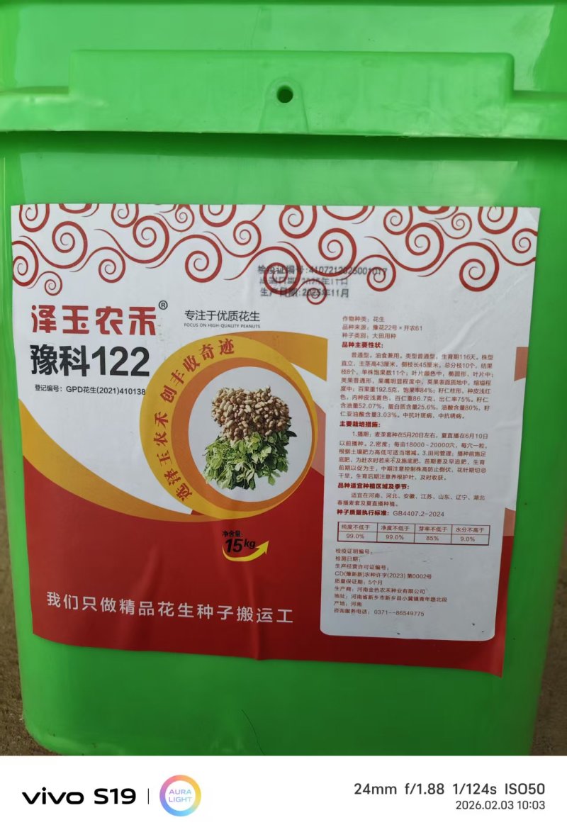 泽玉农禾豫科122花生种，产地直发，量大价优
