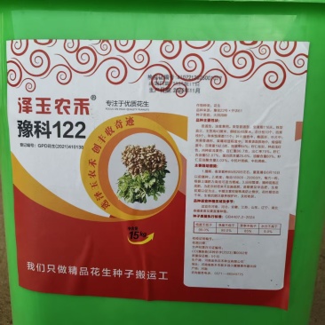 泽玉农禾豫科122花生种，产地直发，量大价优