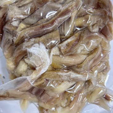 精品猪肚条开袋即食真空包装/量大从优/视频看货诚信经营