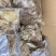 精品猪肚条开袋即食真空包装/量大从优/视频看货诚信经营