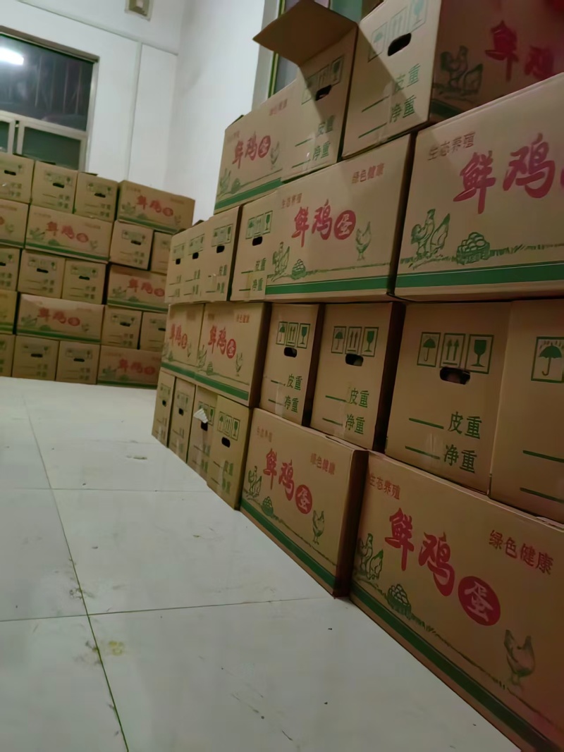 【实力推荐】鸡蛋产地直发精品粉蛋一件可发运费协商对接