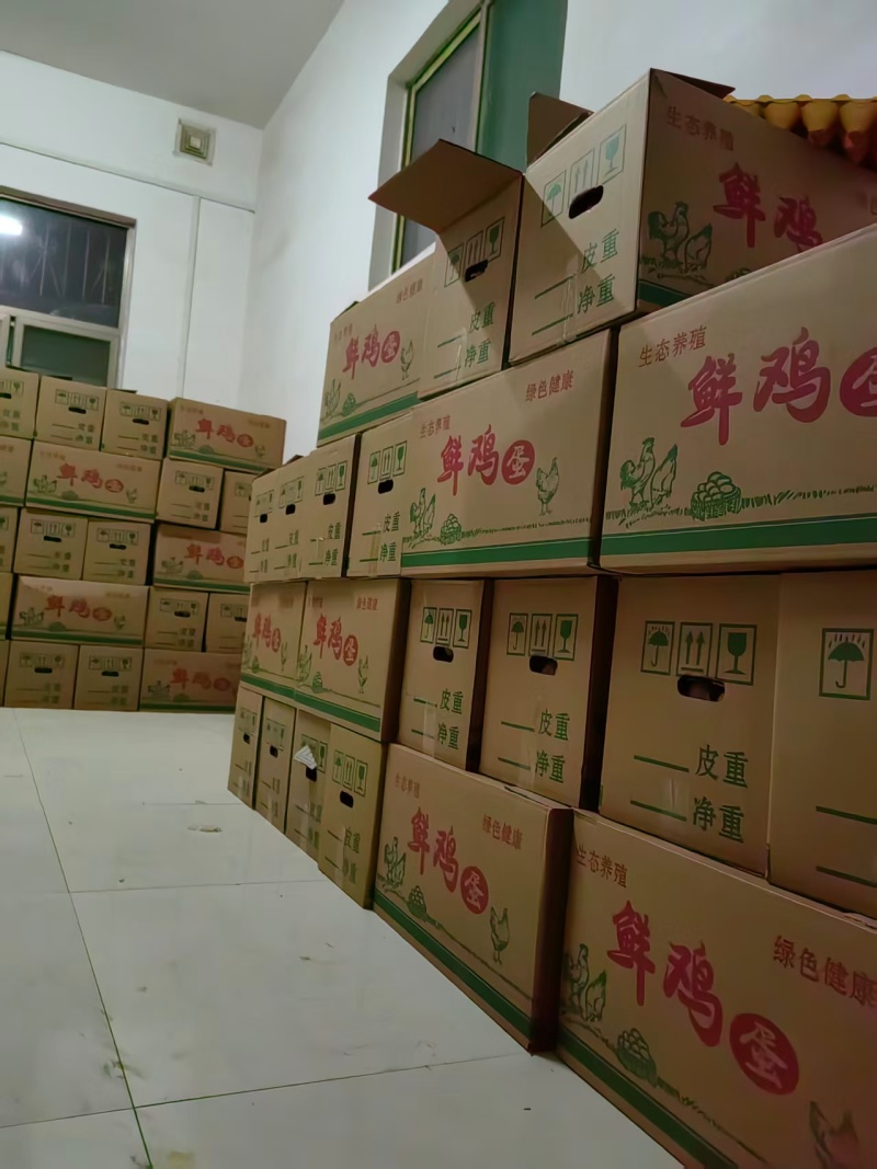 【热卖推荐】初生鸡蛋新鲜上市产地直发可视频看货对接全国
