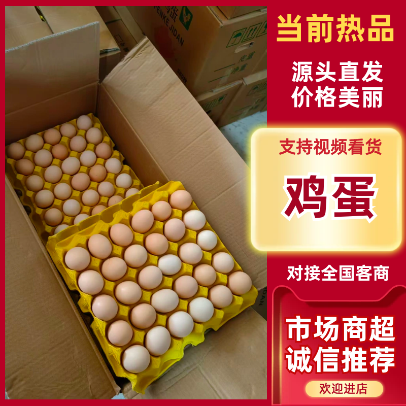 【热卖推荐】初生鸡蛋新鲜上市产地直发可视频看货对接全国