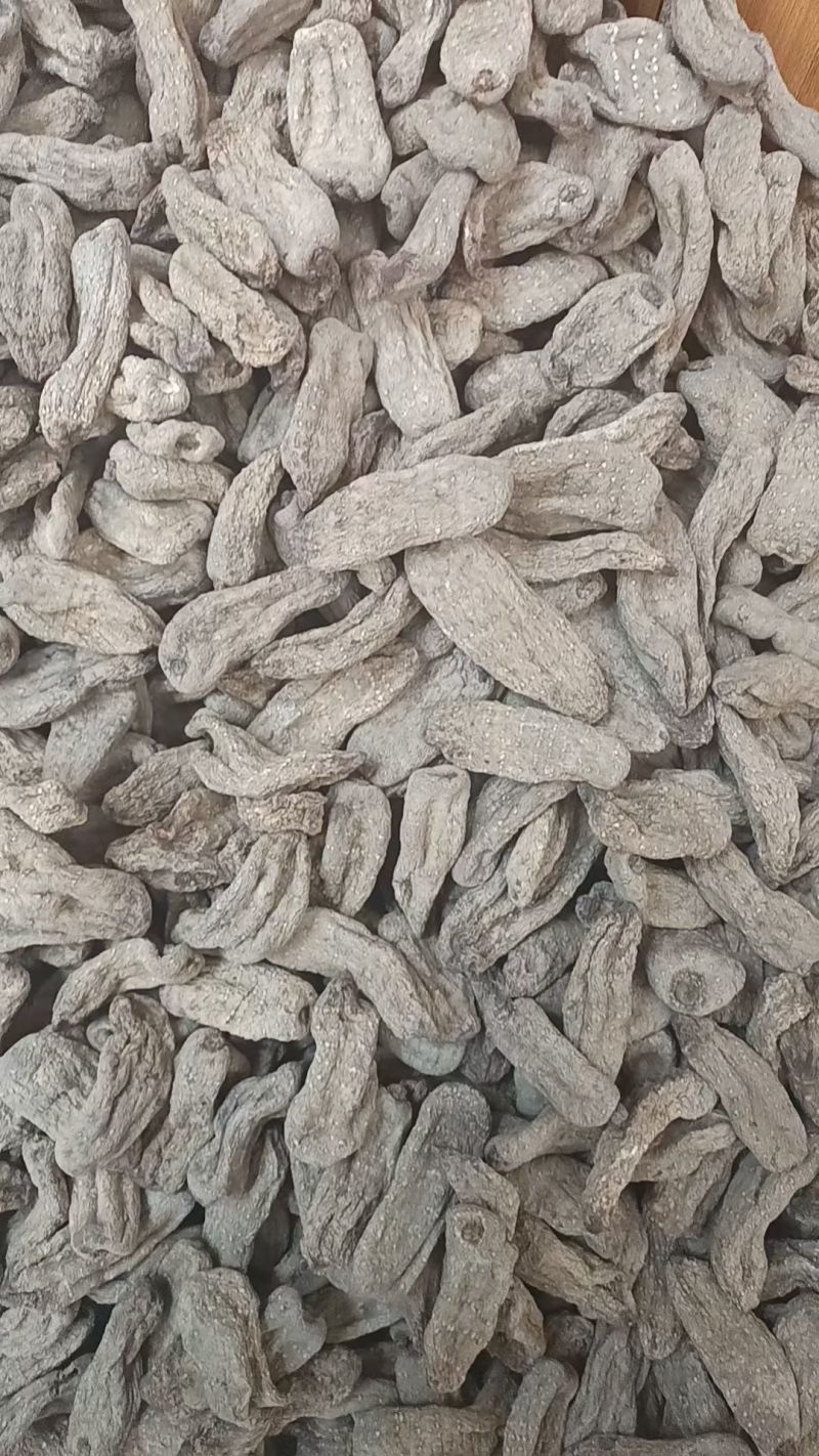 乌天麻云南乌天麻昭通小草坝乌天麻乌天麻批发代发