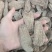 乌天麻云南乌天麻昭通小草坝乌天麻乌天麻批发代发