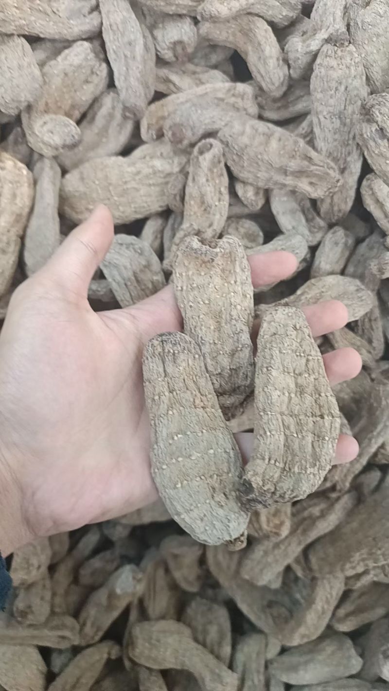 乌天麻云南乌天麻昭通小草坝乌天麻乌天麻批发代发