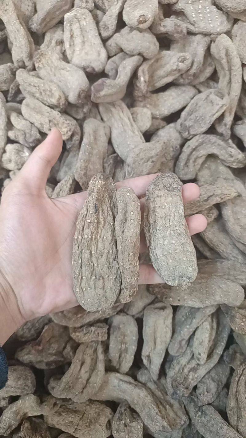 乌天麻云南乌天麻昭通小草坝乌天麻乌天麻批发代发