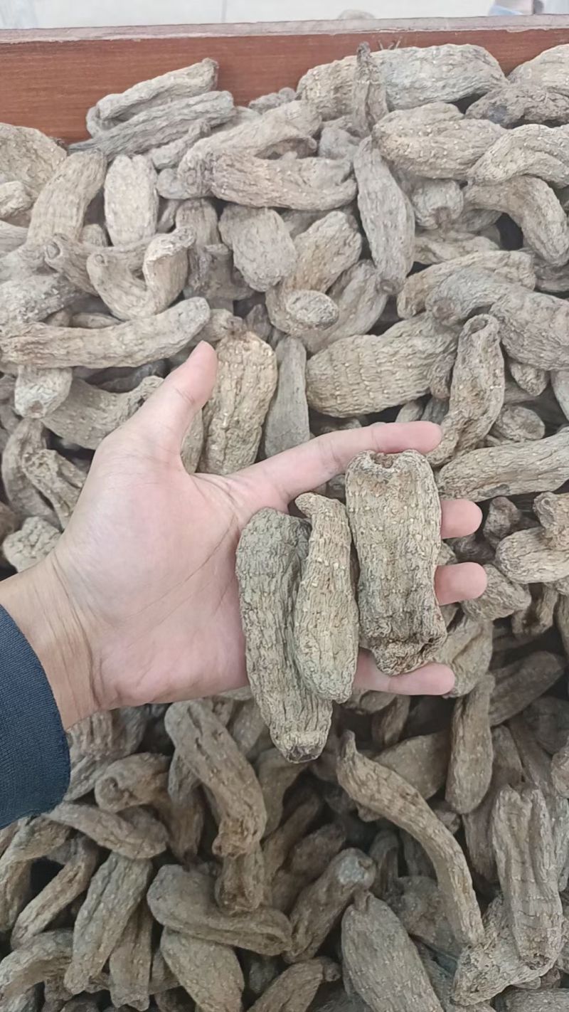 乌天麻云南乌天麻昭通小草坝乌天麻乌天麻批发代发