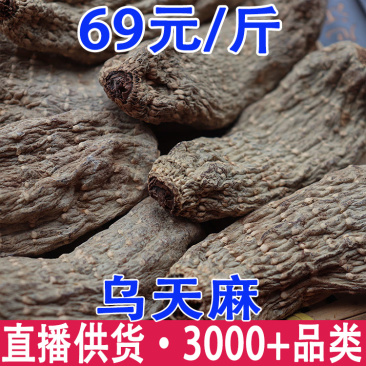 乌天麻云南乌天麻昭通小草坝乌天麻乌天麻批发代发