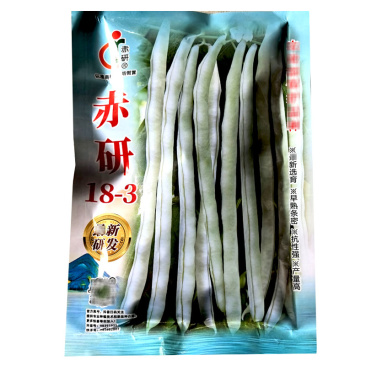 赤研18-3早熟芸豆白花种子密荚扁圆坐荚能力强耐热性强