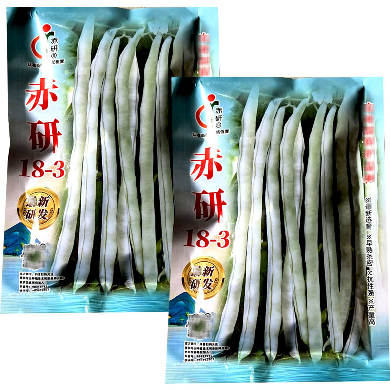 赤研18-3早熟芸豆白花种子密荚扁圆坐荚能力强耐热性强