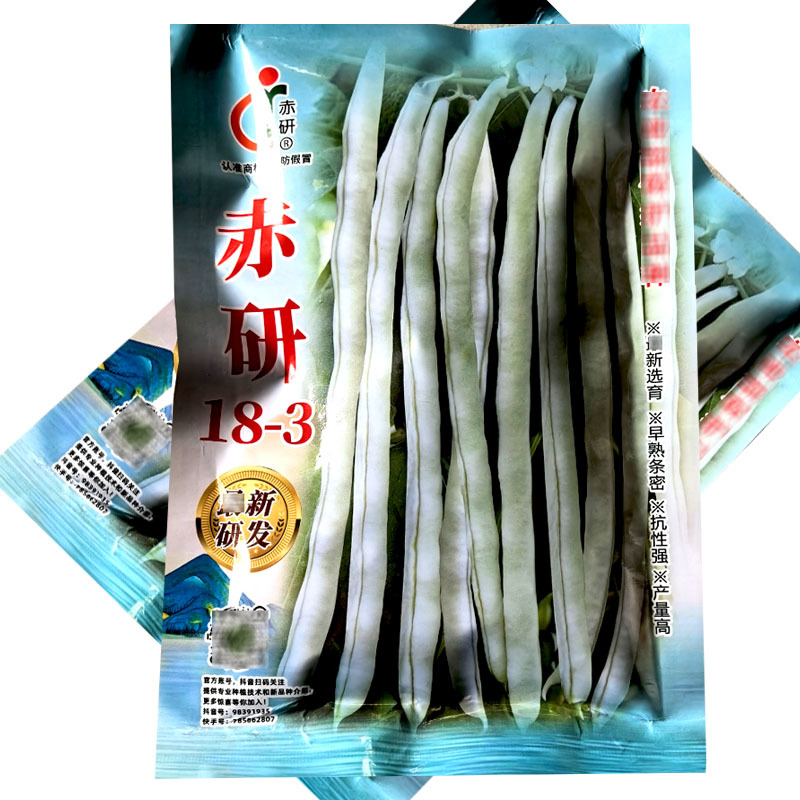 赤研18-3早熟芸豆白花种子密荚扁圆坐荚能力强耐热性强