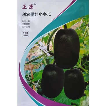 墨娃小冬瓜种子墨绿皮杂交迷你冬瓜种籽果肉致密春秋大棚露地
